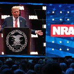 Buying a Gun Won't Save You