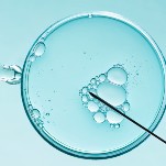 Threats to IVF Are Ramping Up, New Report Says
