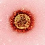 We Have Our First U.S. Measles Deaths of 2026. How Many More Will Follow?